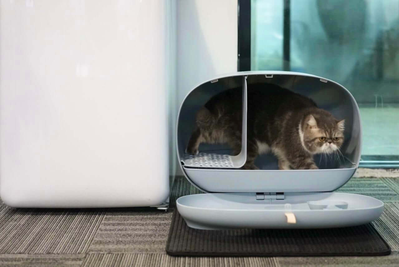 MAKESURE XL Enclosed Cat Litter Box with Drawer – Blue Grey