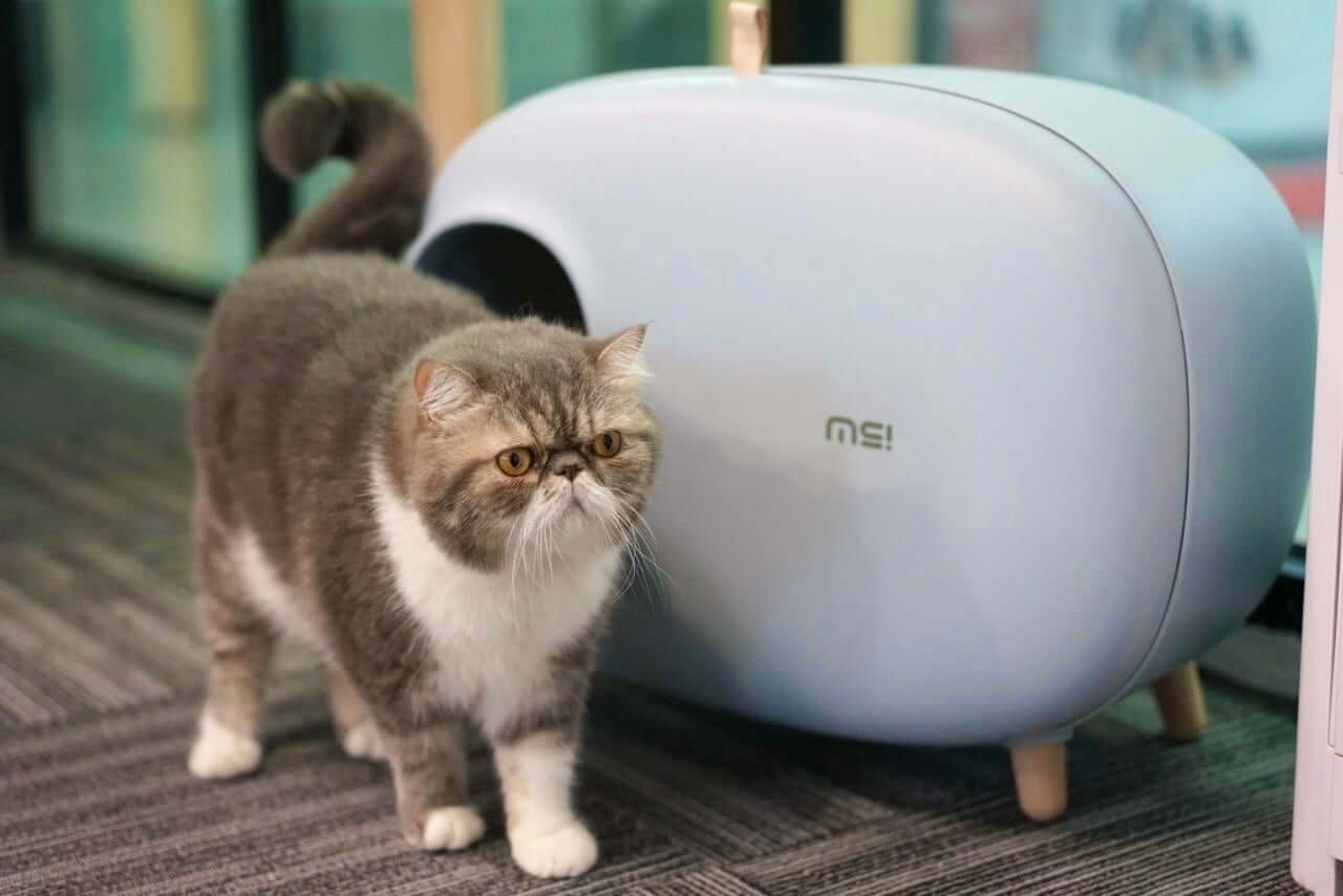 MAKESURE XL Enclosed Cat Litter Box with Drawer – Blue Grey